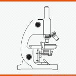 Arbeitsblatt FÃ¼r Das Optische Mikroskop, Ã¶ffentlicher Raum, Winkel ... Fuer Biologie Mikroskop Arbeitsblatt