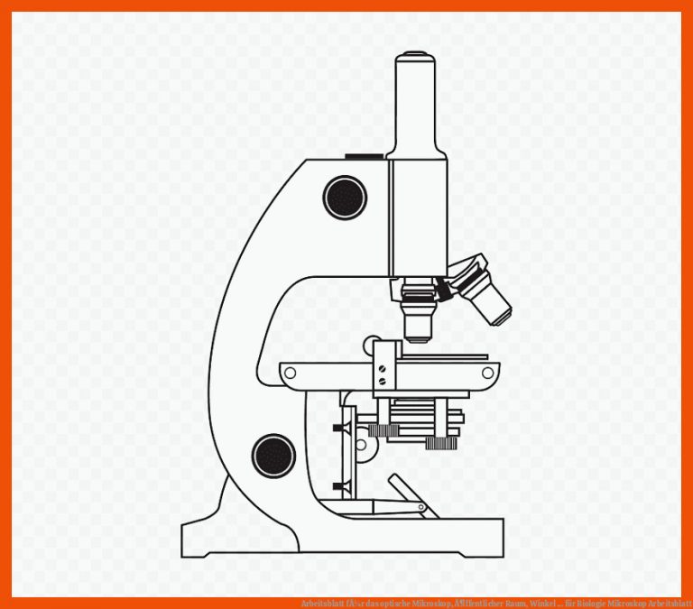 Arbeitsblatt fÃ¼r das optische Mikroskop, Ã¶ffentlicher Raum, Winkel ... für biologie mikroskop arbeitsblatt