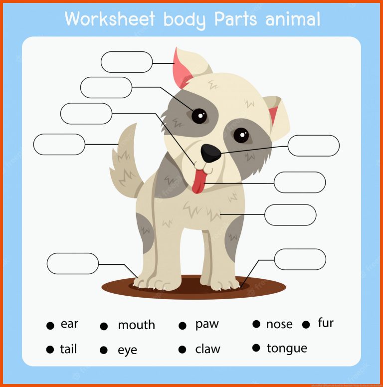 Arbeitsblatt kÃ¶rperteile hund tier | Premium-Vektor für hunde arbeitsblätter