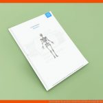 Arbeitsblatt (kostenlos): Skelett Beschriften Kenhub Fuer Skelett Arbeitsblatt Kostenlos