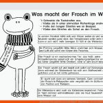 Arbeitsblatt: Was Macht Der Frosch Im Winter? - Blog Bildung ... Fuer Arbeitsblätter Kindergarten Winter