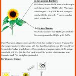 Arbeitsblatt - Wo Steckt Die Energie Der sonne? - LÃ¶sung Fuer Natur Und Technik Arbeitsblätter Lösungen
