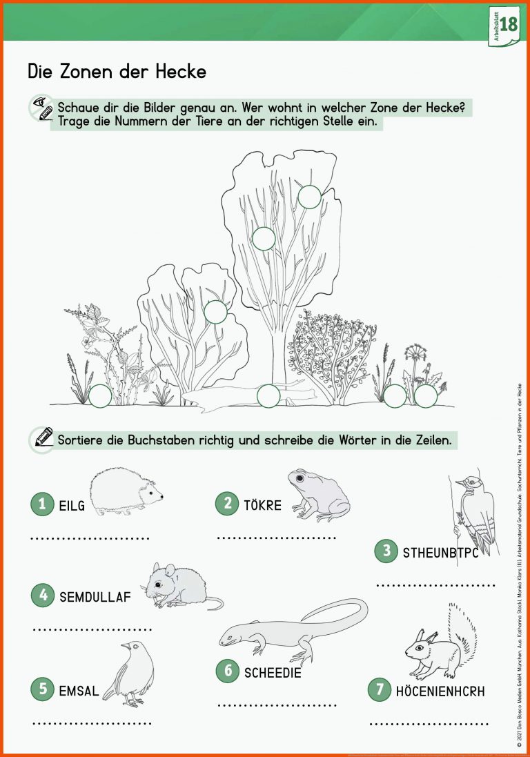 Arbeitsmaterial Grundschule. Sachunterricht: Tiere und Pflanzen in der Hecke: Lehrerbegleitheft und Kopiervorlagen. Direkt einsatzbereit. Mit ... für tiere im herbst arbeitsblätter