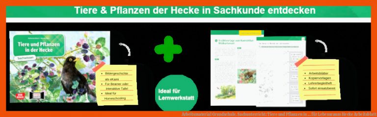 Arbeitsmaterial Grundschule. Sachunterricht: Tiere und Pflanzen in ... für lebensraum hecke arbeitsblatt