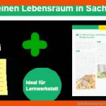 Arbeitsmaterial Grundschule. Sachunterricht: Wie Lebt Der Igel ... Fuer Arbeitsblätter Igel