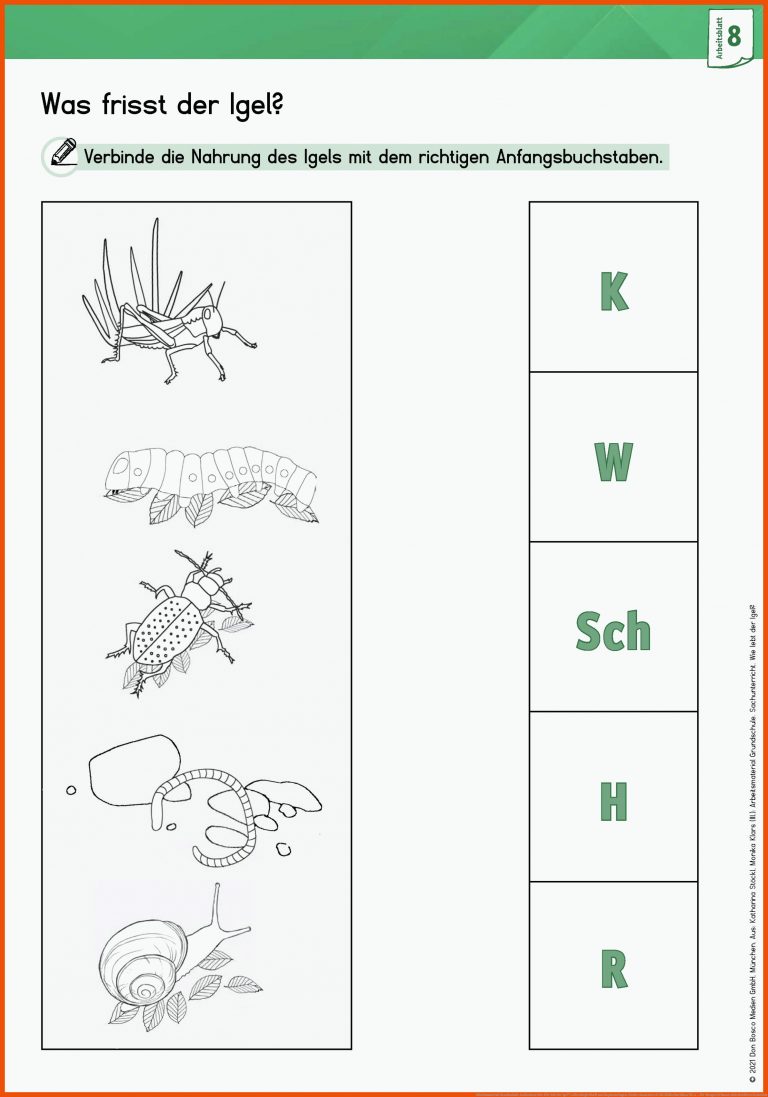 Arbeitsmaterial Grundschule. Sachunterricht: Wie lebt der Igel?: Lehrerbegleitheft und Kopiervorlagen. Direkt einsatzbereit. Mit Bilderbuchkino fÃ¼r ... für mengen erfassen arbeitsblätter kostenlos