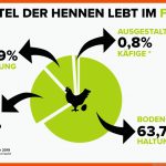 Arbeitsmaterial Zum Ei I Land Schafft Leben Fuer Ein Hühnerei Entsteht Arbeitsblatt