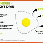 Arbeitsmaterial Zum Ei I Land Schafft Leben Fuer Vom Ei Zum Küken Entwicklung Arbeitsblatt