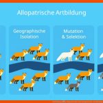 Artbildung â¢ Allopatrische Und Sympatrische Artbildung Â· [mit Video] Fuer Tiere Der Eiszeit Arbeitsblatt