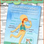 Atemsystem Unterrichtsmaterial Fuer atmungsorgane Beschriften Arbeitsblatt