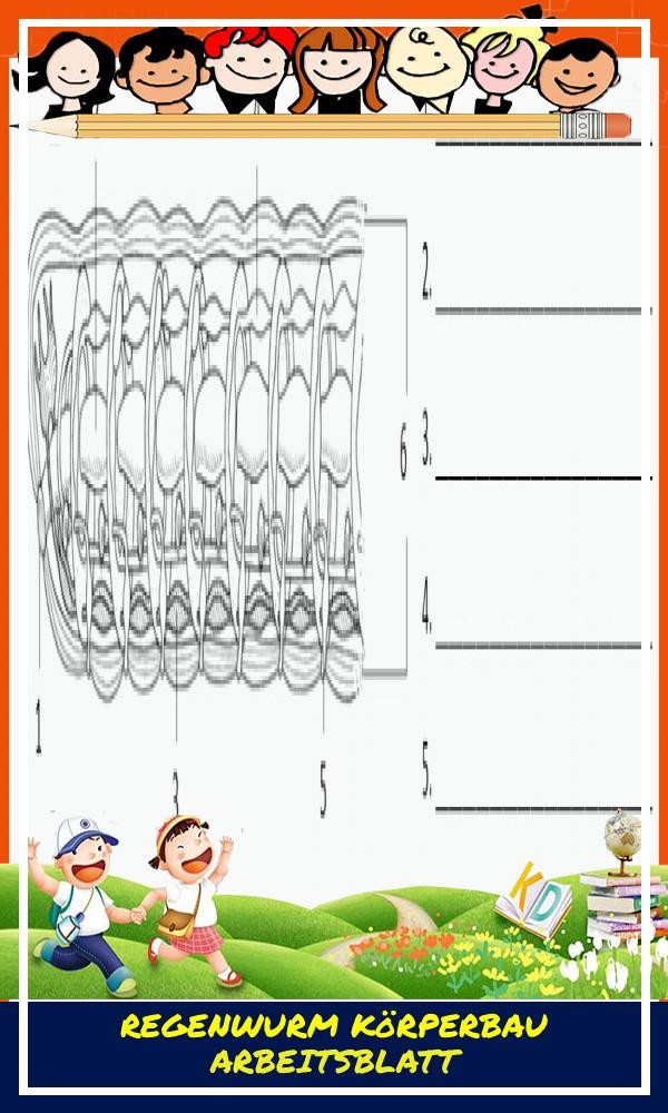Regenwurm Körperbau Arbeitsblatt