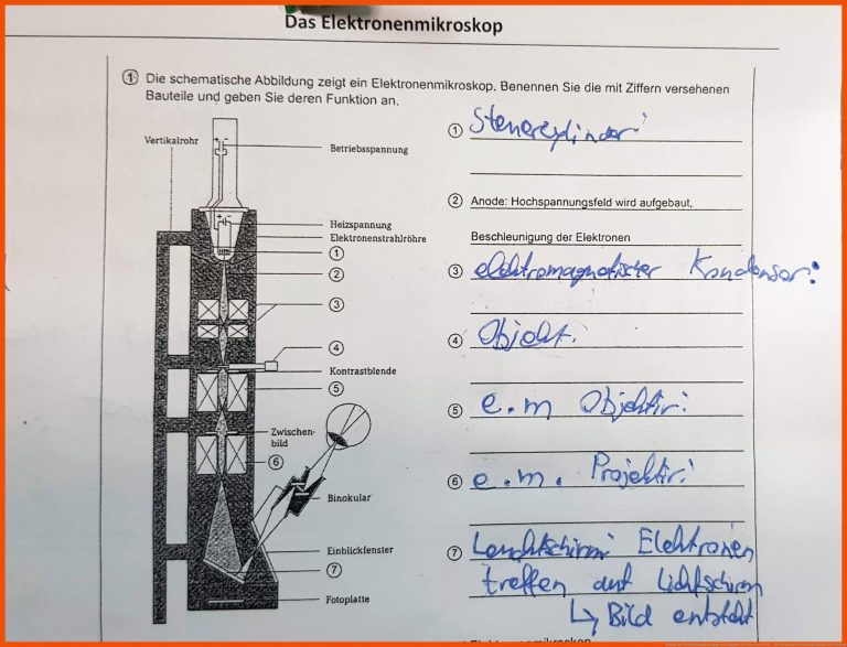 Aufbau des Elektronenmikroskops und Aufgabe der einzelnen Teile ... für elektronenmikroskop aufbau arbeitsblatt