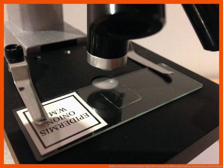 Aufbau eines Lichtmikroskops | Light Microscope für mikroskop aufbau und funktion arbeitsblatt