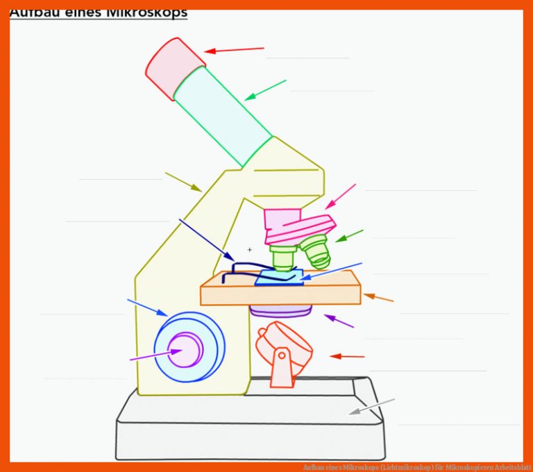 Aufbau Eines Mikroskops (lichtmikroskop) Fuer Mikroskopieren Arbeitsblatt