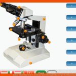 Aufbau Mikroskop Lernen - software Kostenlos Light Microscope Fuer Mikroskop Aufbau Und Funktion Arbeitsblatt
