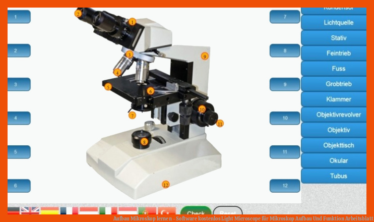 Aufbau Mikroskop lernen - Software kostenlos | Light Microscope für mikroskop aufbau und funktion arbeitsblatt