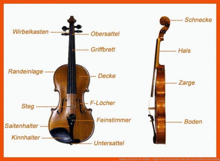 Aufbau und Teile der Violine - Geige Korpus Hals Saiten Steg für geige aufbau arbeitsblatt