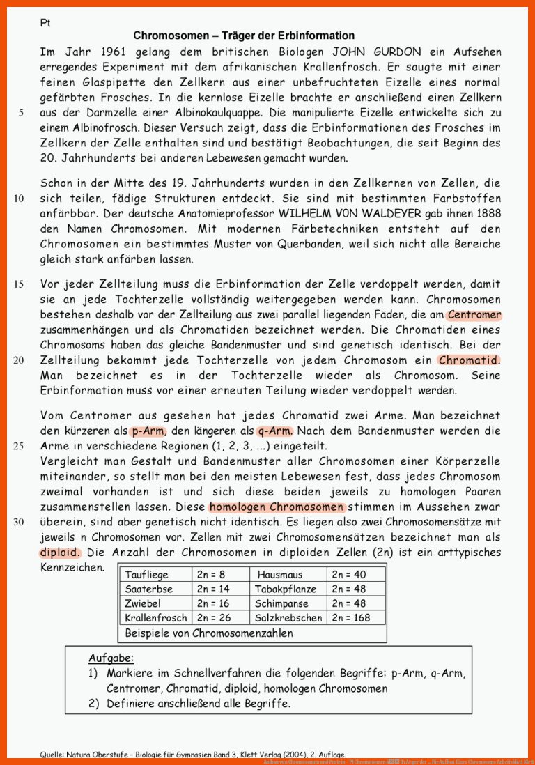 Aufbau von Chromosomen und Protein - Pt Chromosomen â TrÃ¤ger der ... für aufbau eines chromosoms arbeitsblatt klett