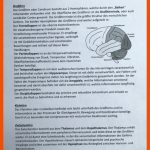 Aufgaben Realschule An Der Niers, Mg-rheydt Fuer Gehirn Aufbau Und Funktion Arbeitsblatt