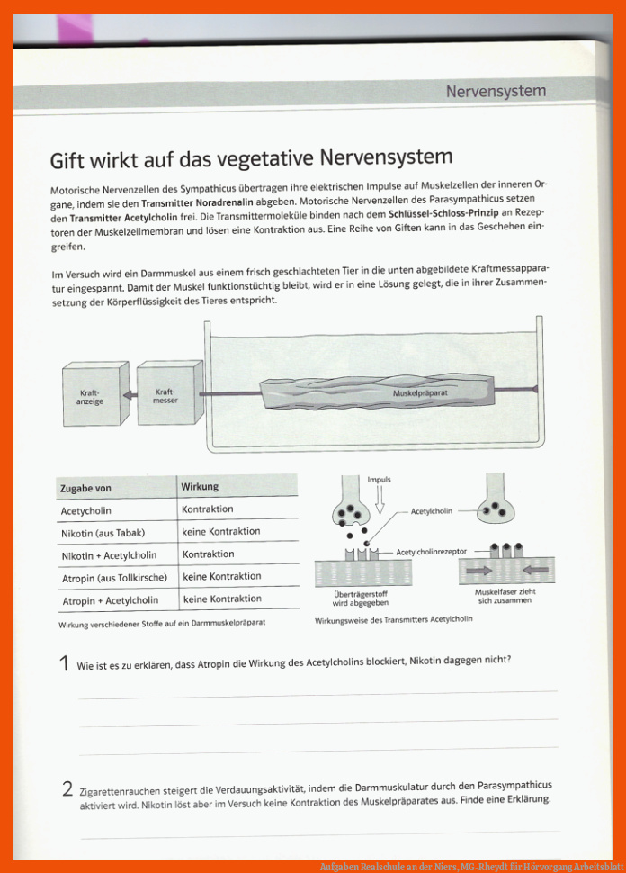 Aufgaben Realschule an der Niers, MG-Rheydt für hörvorgang arbeitsblatt