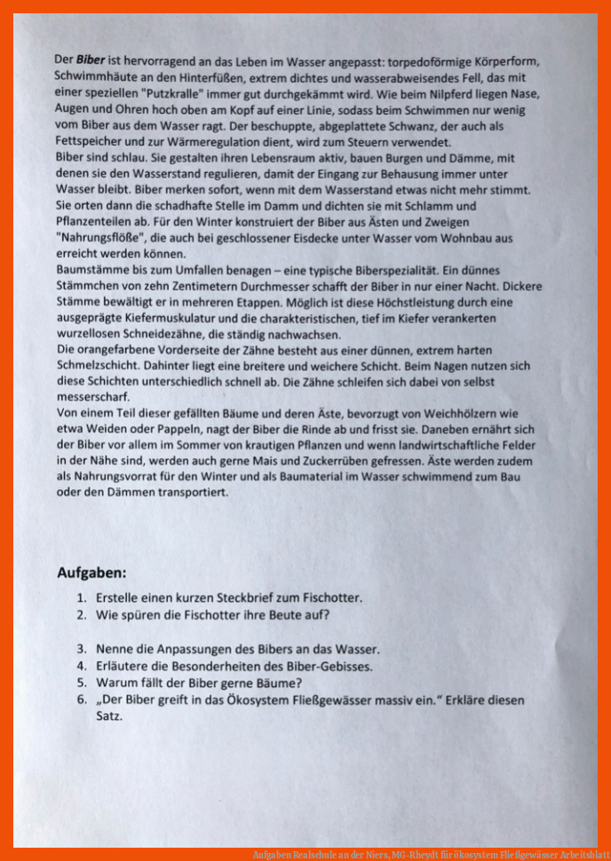 Aufgaben Realschule an der Niers, MG-Rheydt für ökosystem fließgewässer arbeitsblatt