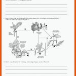 Aufgaben: Seite Aus: Natura Lehrerband 7-10 Teil B Pdf Fuer Homologe organe Arbeitsblatt