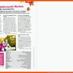 Ausgabe Nr. 90: Audiodateien (mp3) Und ArbeitsblÃ¤tter (pdf ... Fuer Deutsch Für Ausländer Arbeitsblätter Pdf