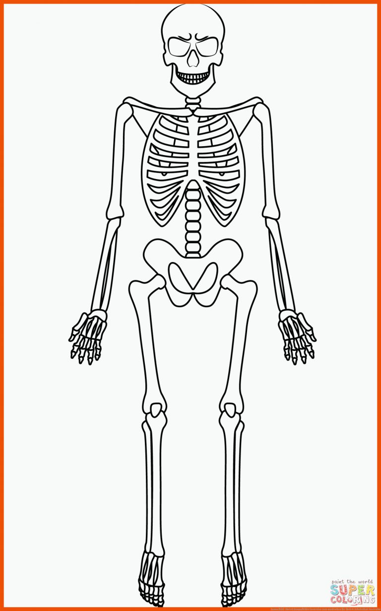 Ausmalbild: Skelett | Ausmalbilder kostenlos zum ausdrucken für skelett arbeitsblatt kostenlos
