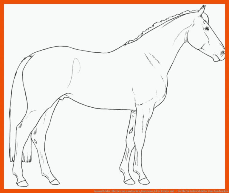 Ausmalbilder: Pferde zum ausdrucken, kostenlos, fÃ¼r Kinder und ... für pferde arbeitsblätter zum ausdrucken