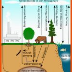 Autotrophe assimilation Am Beispiel Nitrifizierender Bakterien Fuer Stoffkreislauf Im See Arbeitsblatt