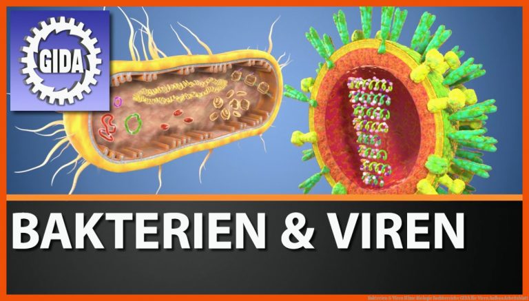 Bakterien & Viren Filme Biologie Fachbereiche Gida Fuer Viren Aufbau Arbeitsblatt