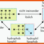 Basiswissen Alkohole-lehrerentwurf Fuer Zwischenmolekulare Kräfte Arbeitsblatt