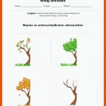 Baum Zu Unterschiedlichen Jahreszeiten Fertig Zeichnen Pdf Fuer Jahreszeiten Arbeitsblatt Pdf