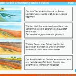 Beispiel FÃ¼r Die Entstehung Eines Fossils - Ppt Video Online ... Fuer Wie Entstehen Fossilien Arbeitsblatt