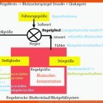 Beispiel-regelkreis - Blutzuckerspiegel - Online-kurse Fuer Regulation Des Blutzuckerspiegels Arbeitsblatt