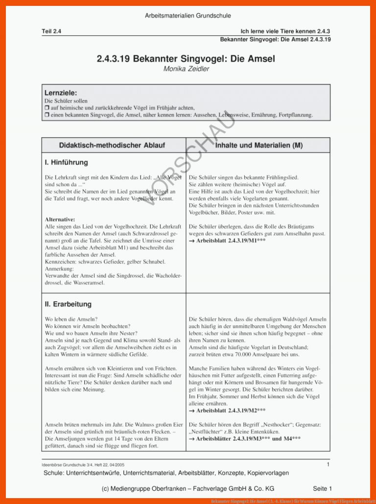 Bekannter Singvogel: Die Amsel (3.-4. Klasse) Fuer Warum Können Vögel Fliegen Arbeitsblatt