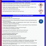 Betriebsanweisung Gasbrenner Fuer Stoffe Und Gegenstände Arbeitsblatt