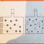 Bewegung Von Wasser Bei Der Osmose? (schule, Biologie, Diffusion) Fuer Diffusion Und Osmose Arbeitsblatt