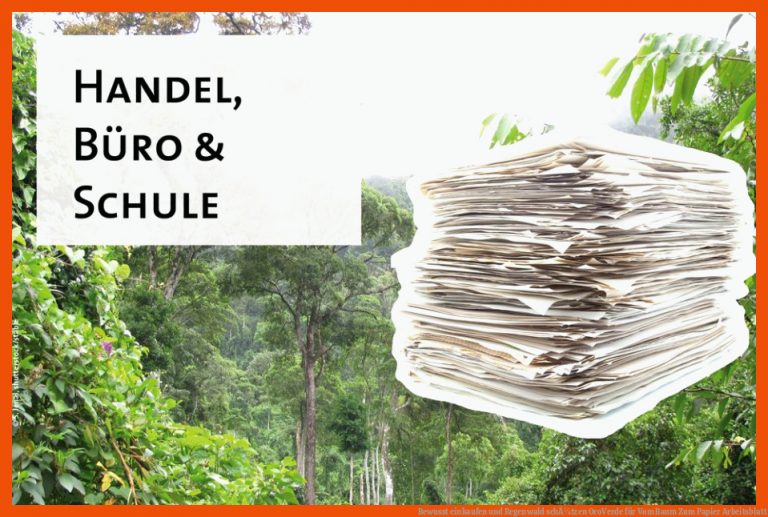 Bewusst einkaufen und Regenwald schÃ¼tzen| OroVerde für vom baum zum papier arbeitsblatt