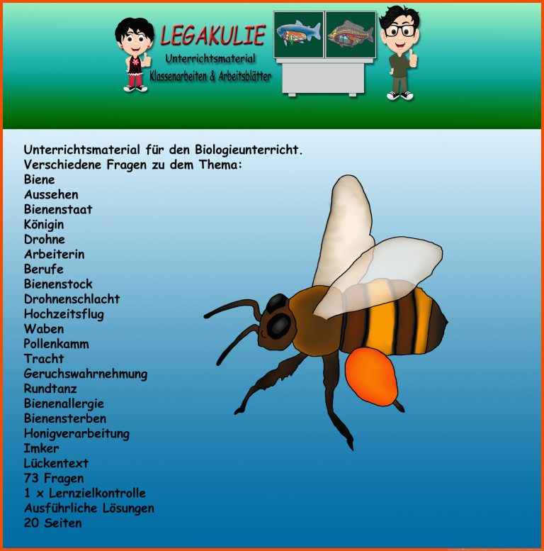 Biene Biologie ÃbungsblÃ¤tter Schulaufgabe Lernzielkontrolle Fuer Die Honigbiene Arbeitsblätter Lösungen