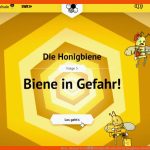 Biene, Hummel & Co â Die DigitalfÃ¼chse Fuer Die Honigbiene Arbeitsblätter Lösungen