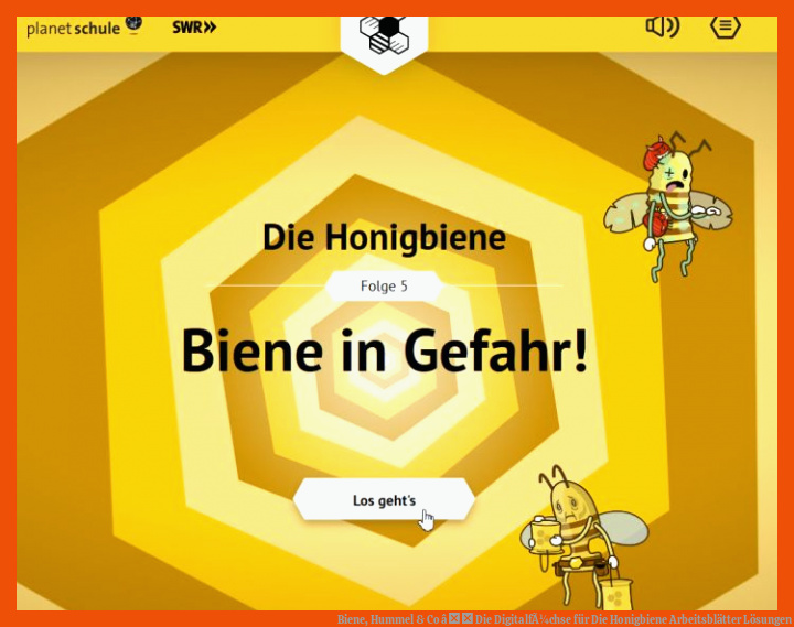 Biene, Hummel & Co â Die DigitalfÃ¼chse für die honigbiene arbeitsblätter lösungen