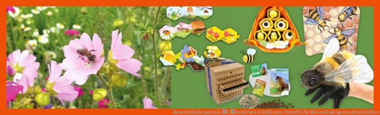 Biene im Kindergarten â­ï¸ Entdecken & SchÃ¼tzen | TimeTEX für bienen kindergarten arbeitsblätter