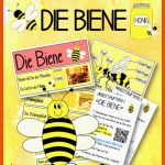 Bienen Unterrichtsideen Und Material - Klassengezwitscher Fuer Entwicklung Biene Arbeitsblatt