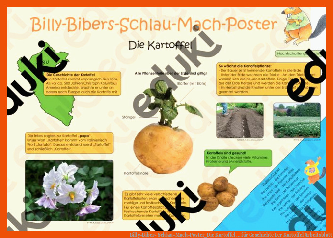 Billy-Biber- Schlau-Mach-Poster_Die Kartoffel ... für geschichte der kartoffel arbeitsblatt