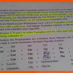 Bio- Lk Klausur- Berichtigung thema Genetik!? (biologie, Mutation) Fuer Verpackung Der Dna Arbeitsblatt
