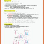 Bio Mutationen - Vorlesungsnotizen 2. Kurshalbjahr - Mutation Und ... Fuer Mutation Und Modifikation Arbeitsblatt Lösungen