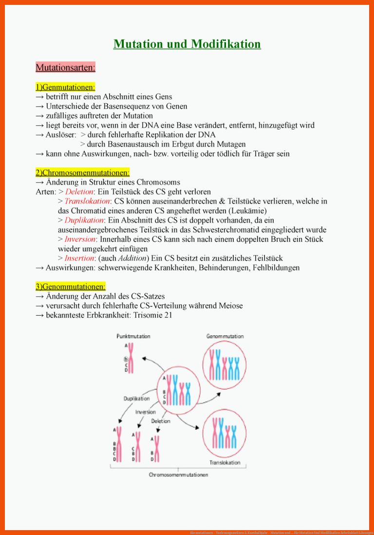 Bio mutationen - Vorlesungsnotizen 2. Kurshalbjahr - Mutation und ... für mutation und modifikation arbeitsblatt lösungen