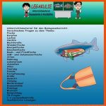 Biologie Fische Klassenarbeit Interaktive ArbeitsblÃ¤tter Pdf Fuer Die Kiemenatmung Der Fische Arbeitsblatt Lösungen