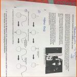 Biologie Hausaufgaben Hilfe? (schule, Bio, Oberstufe) Fuer Von Der Zelle Zum organismus Arbeitsblatt Lösungen